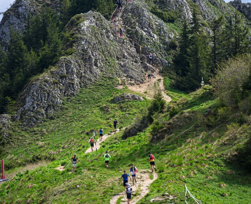 9. BvM - Maraton